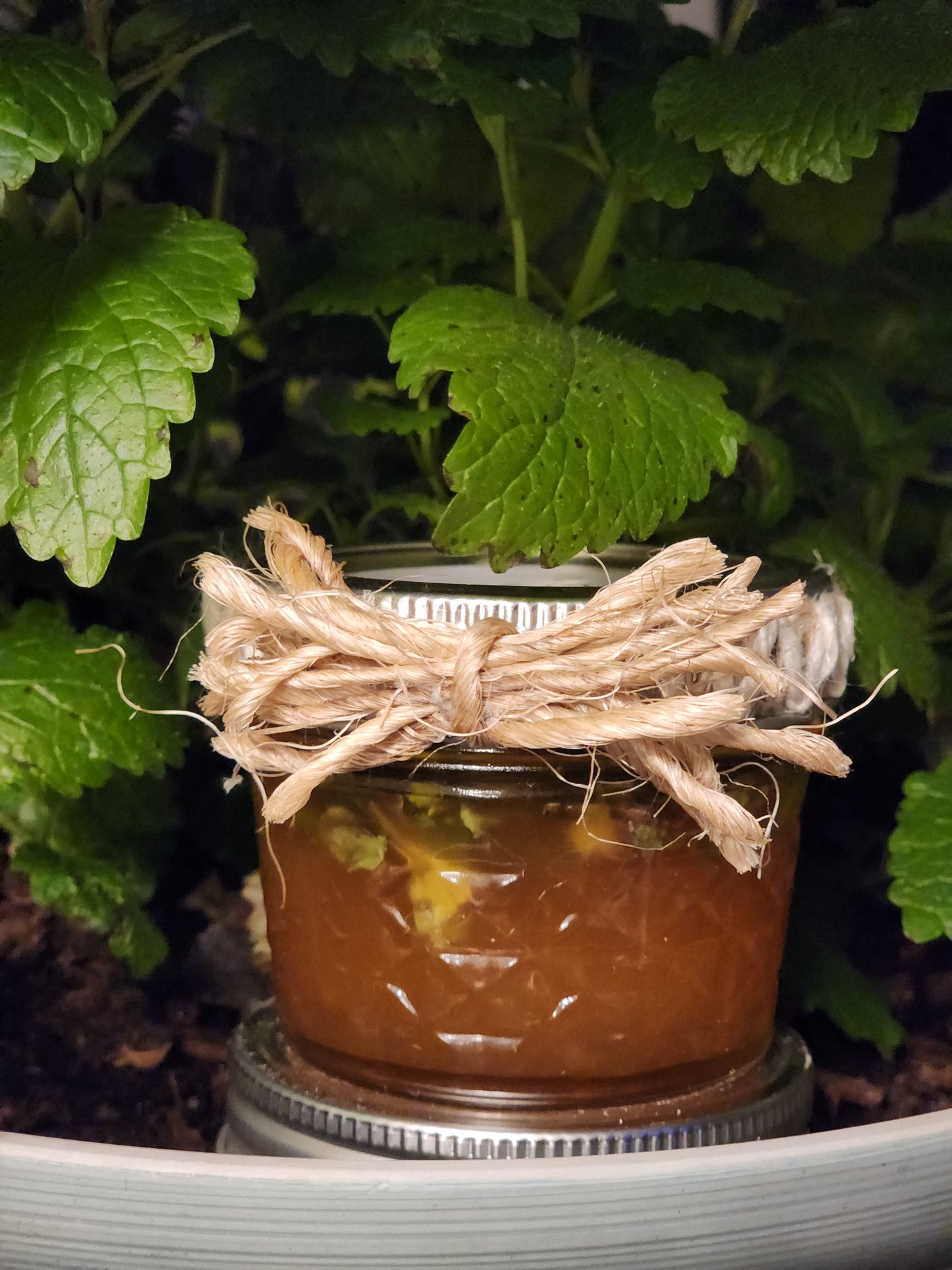 Infused Honey