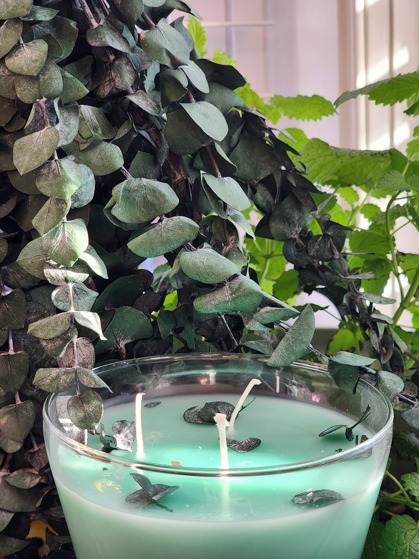 Eucalyptus & Spearmint