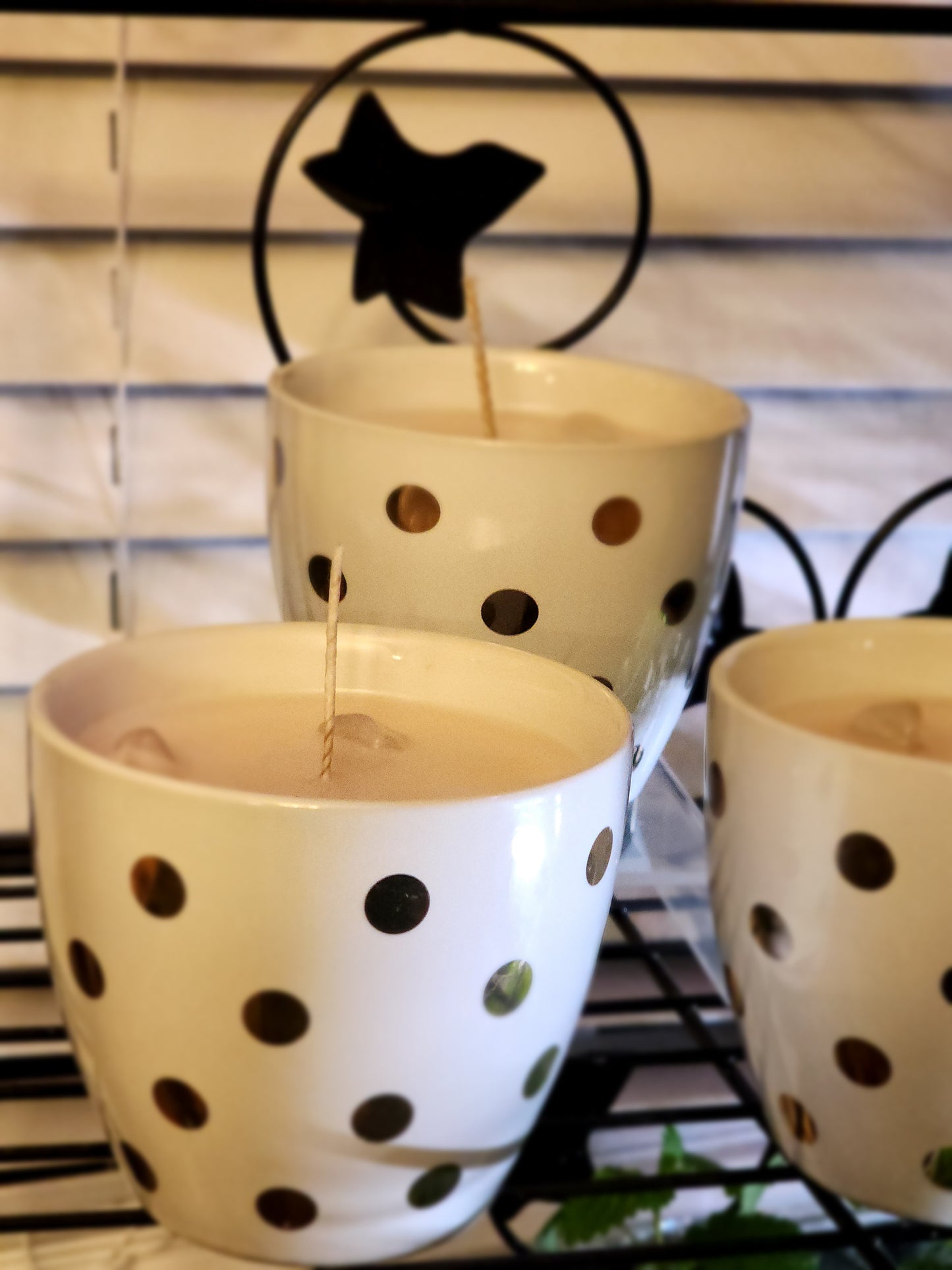 Cocoa candle cups