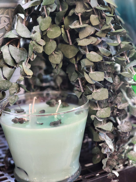 Eucalyptus & Spearmint
