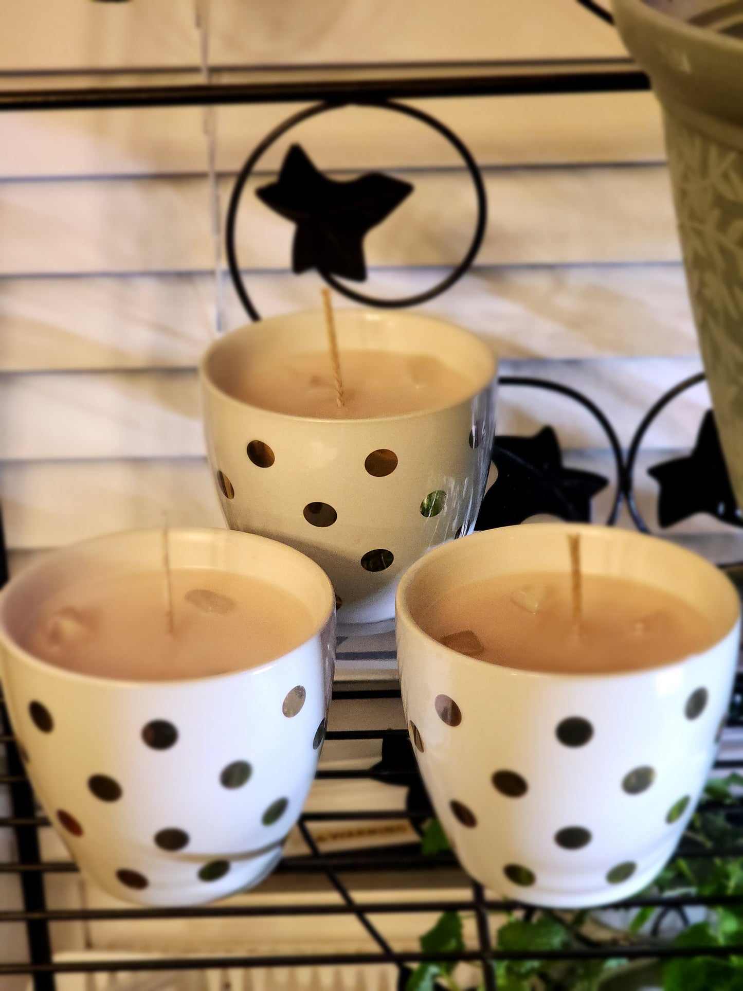 Cocoa candle cups